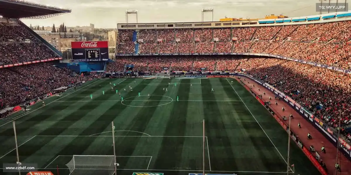 我们的核心竞争力